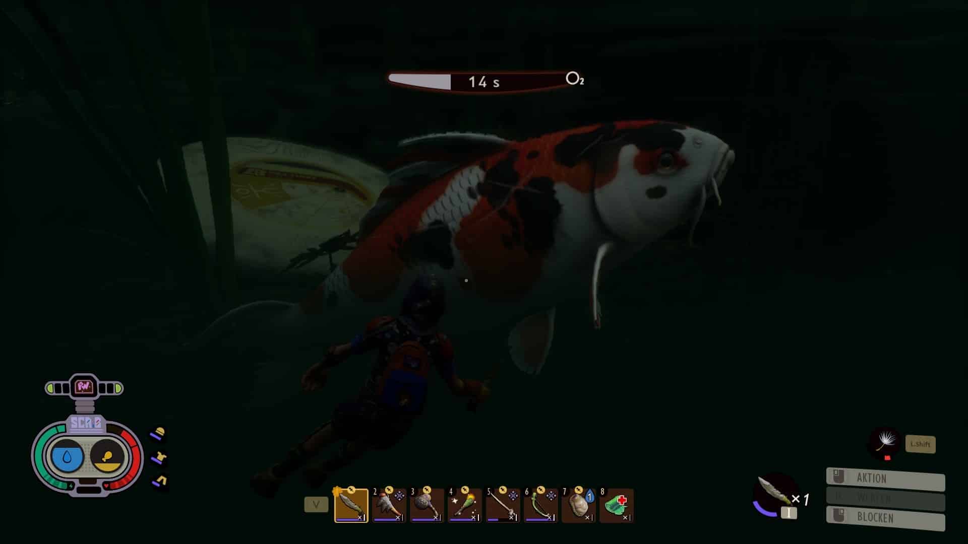 (Esta carpa koi es demasiado grande para nosotros y nuestra única opción es escapar, lo cual es un poco difícil bajo el agua)