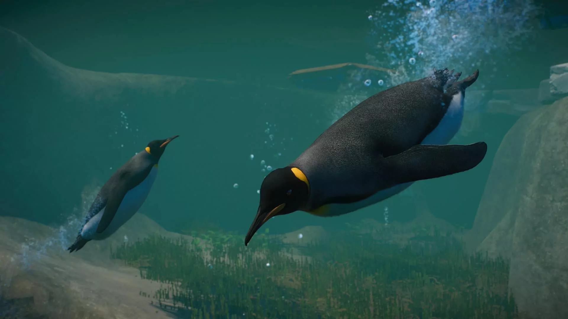 Muchos amantes de los animales deseaban que el Pingüino fuera un clásico del zoo en el momento del lanzamiento, ahora el Pack Acuático lo consigue