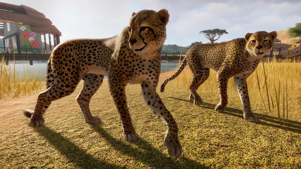 Guepardos, elefantes, antílopes. El Planeta Zoo está repleto de animales exóticos